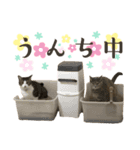 モカミスタンプ①（個別スタンプ：5）