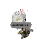 月山いY44ら員ス炭ぷ葬式的なフラワー（個別スタンプ：8）