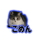 むぎむぎどんどん（個別スタンプ：1）