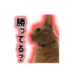 むぎむぎどんどん（個別スタンプ：2）