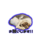 むぎむぎどんどん（個別スタンプ：4）
