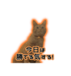 むぎむぎどんどん（個別スタンプ：5）