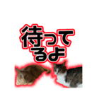 むぎむぎどんどん（個別スタンプ：8）
