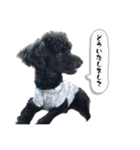 Hello Rinchan.（個別スタンプ：13）