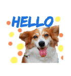 ミックス犬こころpart2（個別スタンプ：4）