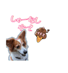 ミックス犬こころpart2（個別スタンプ：12）