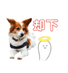 ミックス犬こころpart2（個別スタンプ：13）