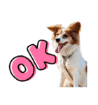 ミックス犬こころpart2（個別スタンプ：32）