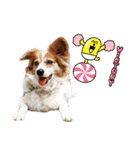 ミックス犬こころpart2（個別スタンプ：39）