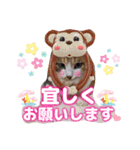 猫スタンプ❤️キジトラミケ❤️日常❤️面白（個別スタンプ：3）