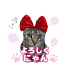 猫スタンプ❤️キジトラミケ❤️日常❤️面白（個別スタンプ：5）