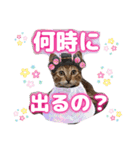 猫スタンプ❤️キジトラミケ❤️日常❤️面白（個別スタンプ：9）