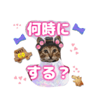 猫スタンプ❤️キジトラミケ❤️日常❤️面白（個別スタンプ：10）