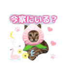 猫スタンプ❤️キジトラミケ❤️日常❤️面白（個別スタンプ：12）