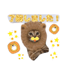猫スタンプ❤️キジトラミケ❤️日常❤️面白（個別スタンプ：13）