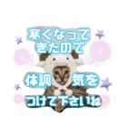 猫スタンプ❤️キジトラミケ❤️日常❤️面白（個別スタンプ：15）
