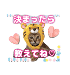 猫スタンプ❤️キジトラミケ❤️日常❤️面白（個別スタンプ：20）