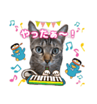 猫スタンプ❤️キジトラミケ❤️日常❤️面白（個別スタンプ：23）