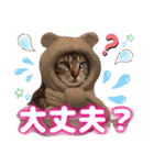 猫スタンプ❤️キジトラミケ❤️日常❤️面白（個別スタンプ：27）
