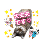 猫スタンプ❤️キジトラミケ❤️日常❤️面白（個別スタンプ：28）