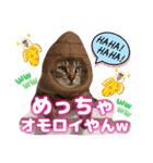 猫スタンプ❤️キジトラミケ❤️日常❤️面白（個別スタンプ：30）