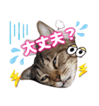 猫スタンプ❤️キジトラミケ❤️日常❤️面白（個別スタンプ：32）