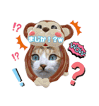 猫スタンプ❤️キジトラミケ❤️日常❤️面白（個別スタンプ：33）