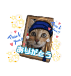 猫スタンプ❤️キジトラミケ❤️日常❤️面白（個別スタンプ：37）