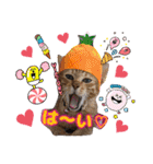 猫スタンプ❤️キジトラミケ❤️日常❤️面白（個別スタンプ：39）