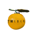 1ダックス3アメコカver3（個別スタンプ：4）