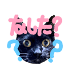 北海道弁の、なした？スタンプ（個別スタンプ：4）