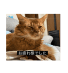 ゴマつくねスタンプ（字幕）（個別スタンプ：6）