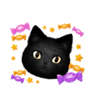 黒猫のハロウィン/大人かわいいかぼちゃ*（個別スタンプ：11）
