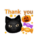黒猫のハロウィン/大人かわいいかぼちゃ*（個別スタンプ：14）