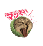 世界一可愛いマンチカンねる（個別スタンプ：9）