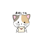 こねこにゃんスタンプ（個別スタンプ：7）