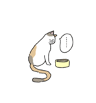 こねこにゃんスタンプ（個別スタンプ：29）