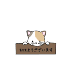 こねこにゃんスタンプ（個別スタンプ：38）