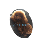 ここあちゃんの日常3（個別スタンプ：8）