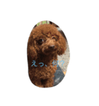 ここあちゃんの日常3（個別スタンプ：11）