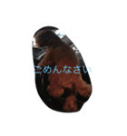 ここあちゃんの日常3（個別スタンプ：12）