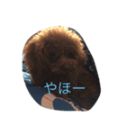 ここあちゃんの日常3（個別スタンプ：13）