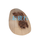 ここあちゃんの日常3（個別スタンプ：15）