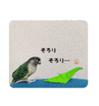 Minchopila3（個別スタンプ：1）