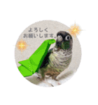 Minchopila3（個別スタンプ：2）
