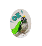 Minchopila3（個別スタンプ：7）