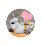Minchopila3（個別スタンプ：19）