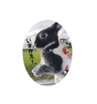 Minchopila3（個別スタンプ：22）
