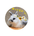 Minchopila3（個別スタンプ：26）
