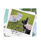Minchopila3（個別スタンプ：31）